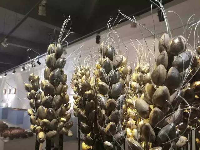 1507597643775295.jpg 6.jpg