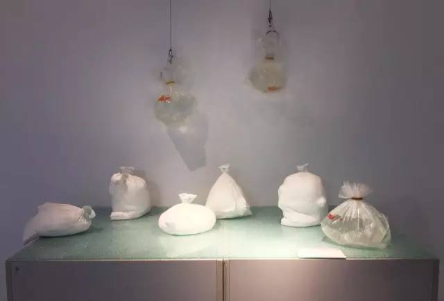 1507597904414333.jpg 32.jpg